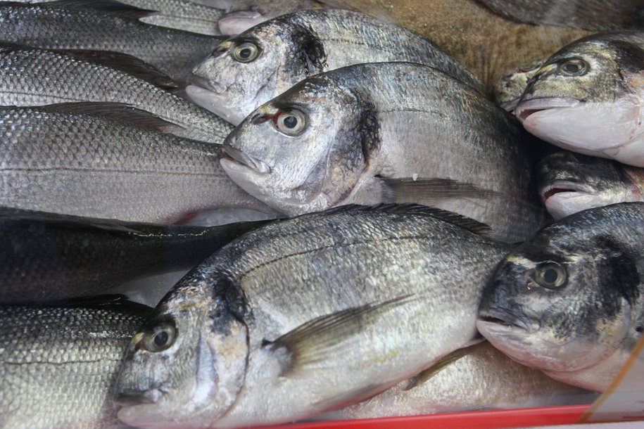 На востоке Подмосковья зафиксирована массовая гибель рыбы