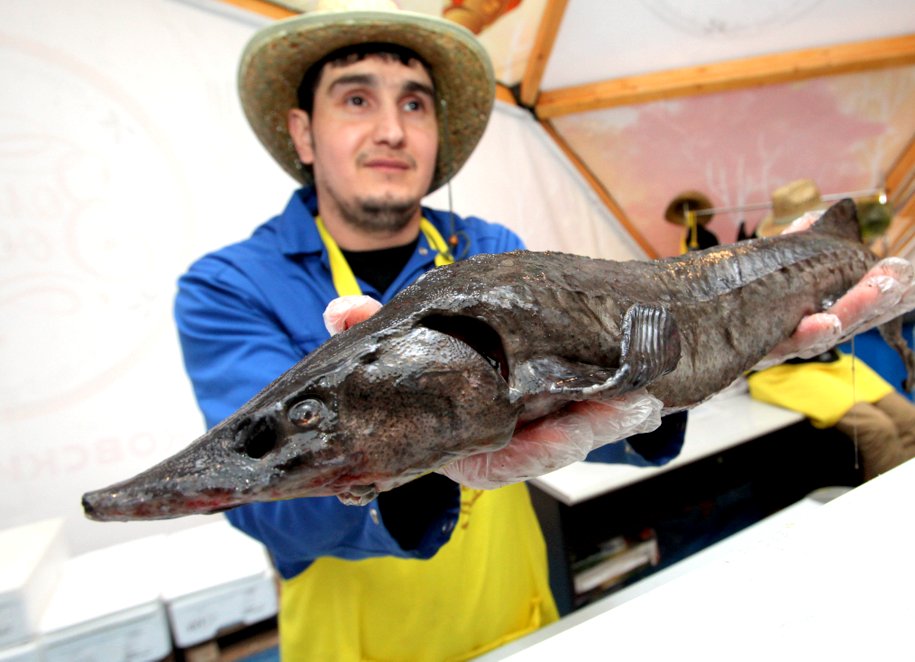 Гости фестиваля «Рыбная неделя» съели более 500 порций ухи 26 мая