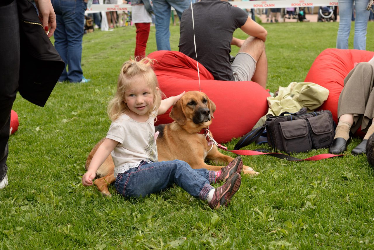 В Воронцовском парке пройдет второй московский фестиваль «Собаки в городе. Снова!»