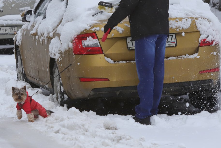 МЧС Москвы предупредило горожан о неблагоприятных погодных условиях