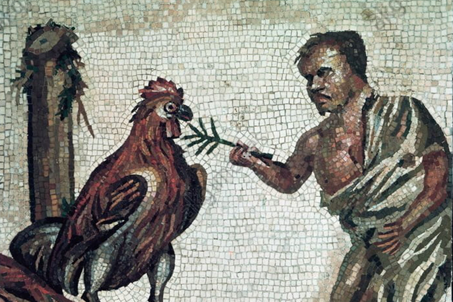 Рядом с Римом нашли останки древней курицы
