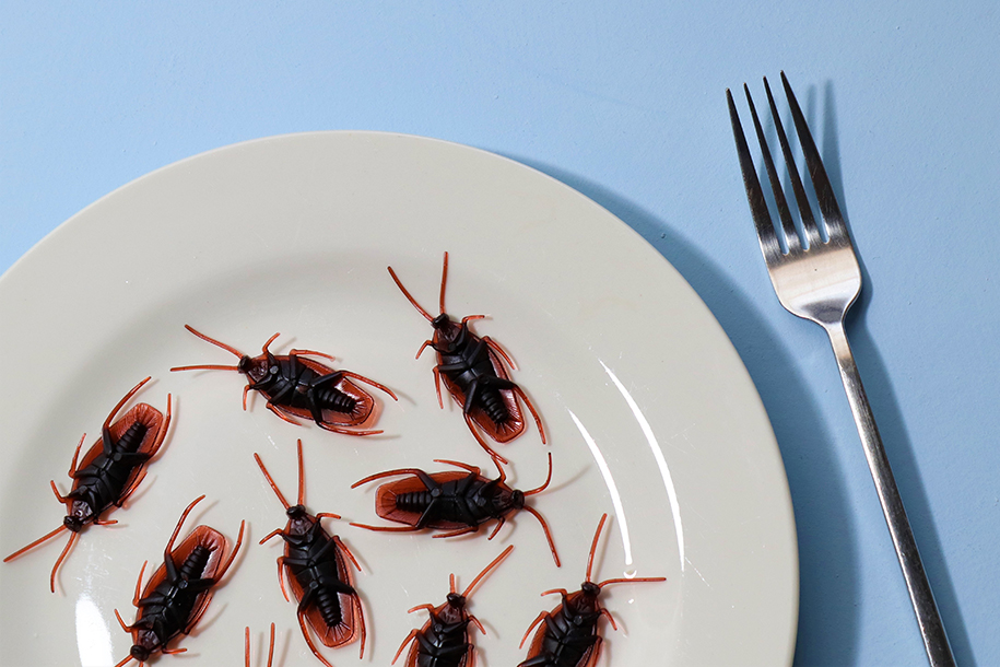 Уничтожить тараканов поможет нейросеть и лазерный луч