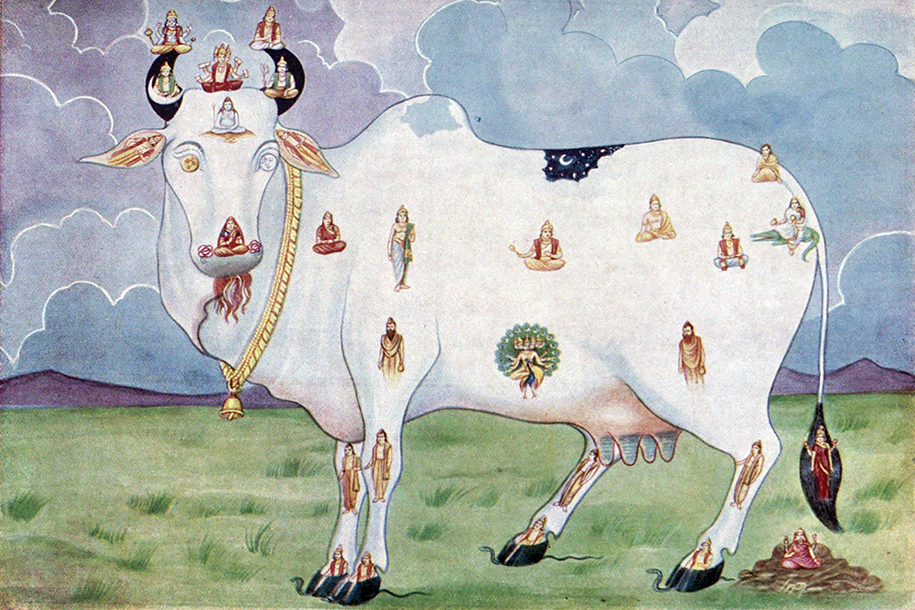 Музей Востока приглашает детей на лекцию о коровах в Индии