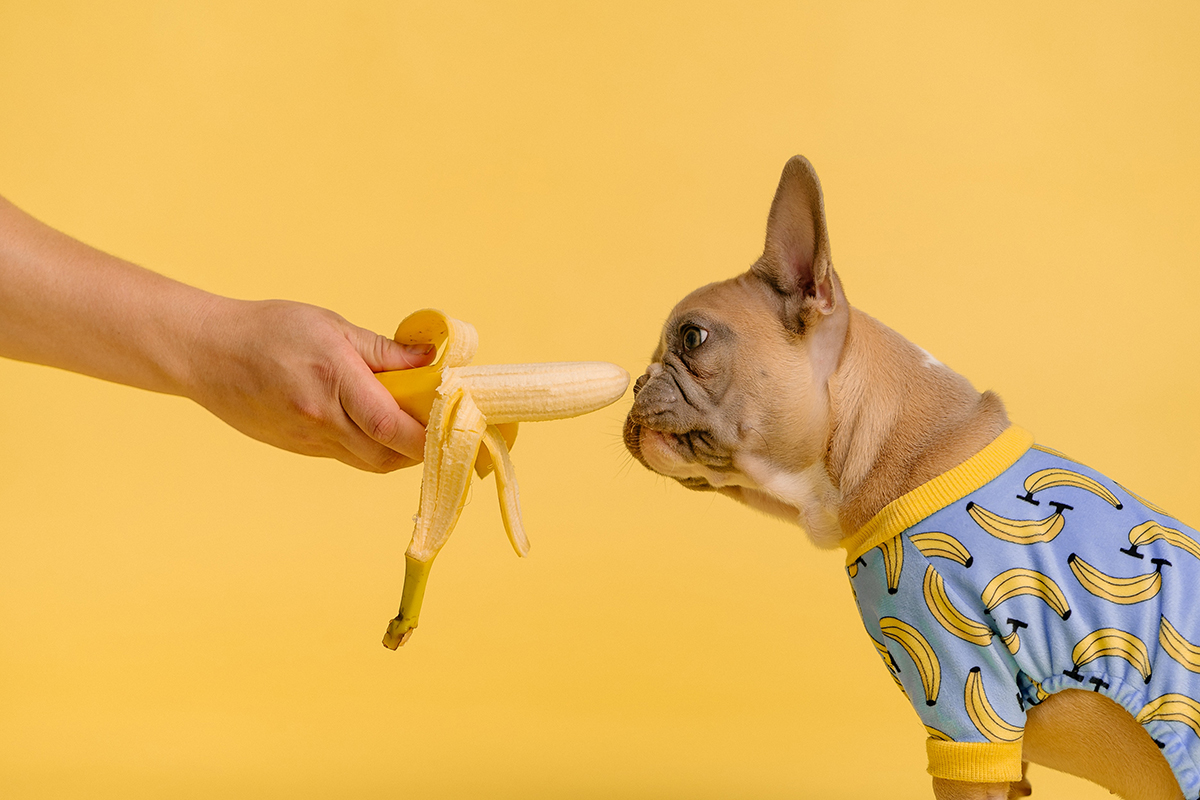 Бананы станут социально значимым продуктом