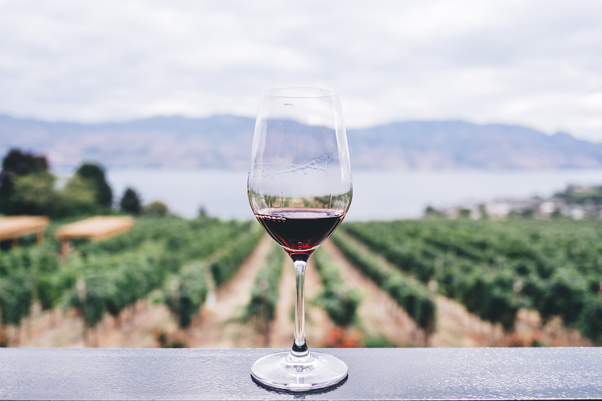 Пошлины на импортное вино планируют повысить