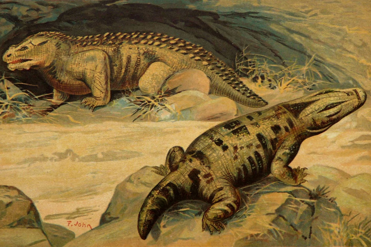 Палеонтологи-любители нашли в Кировской области парейазавра