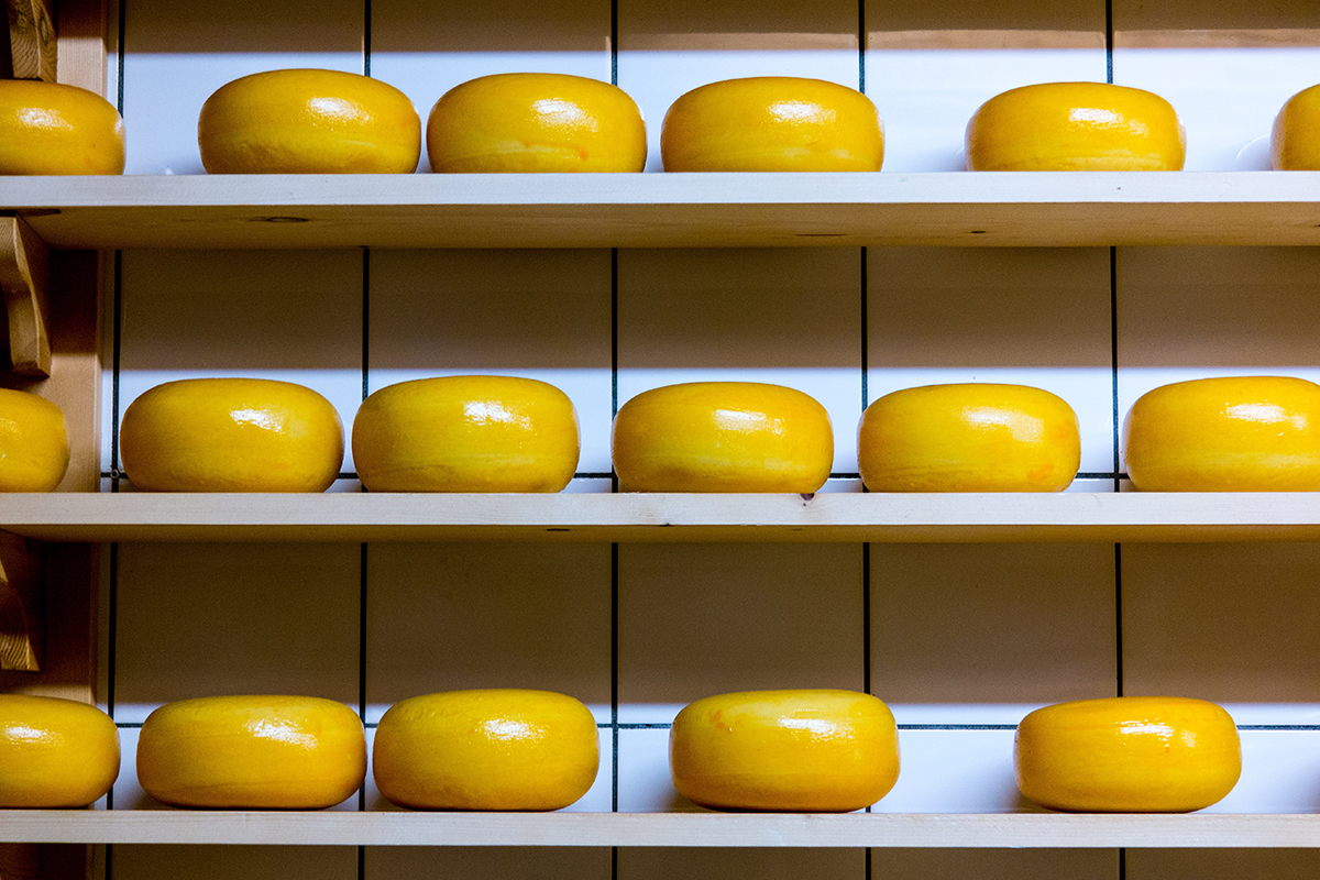 Производство сыра выросло при снижении спроса