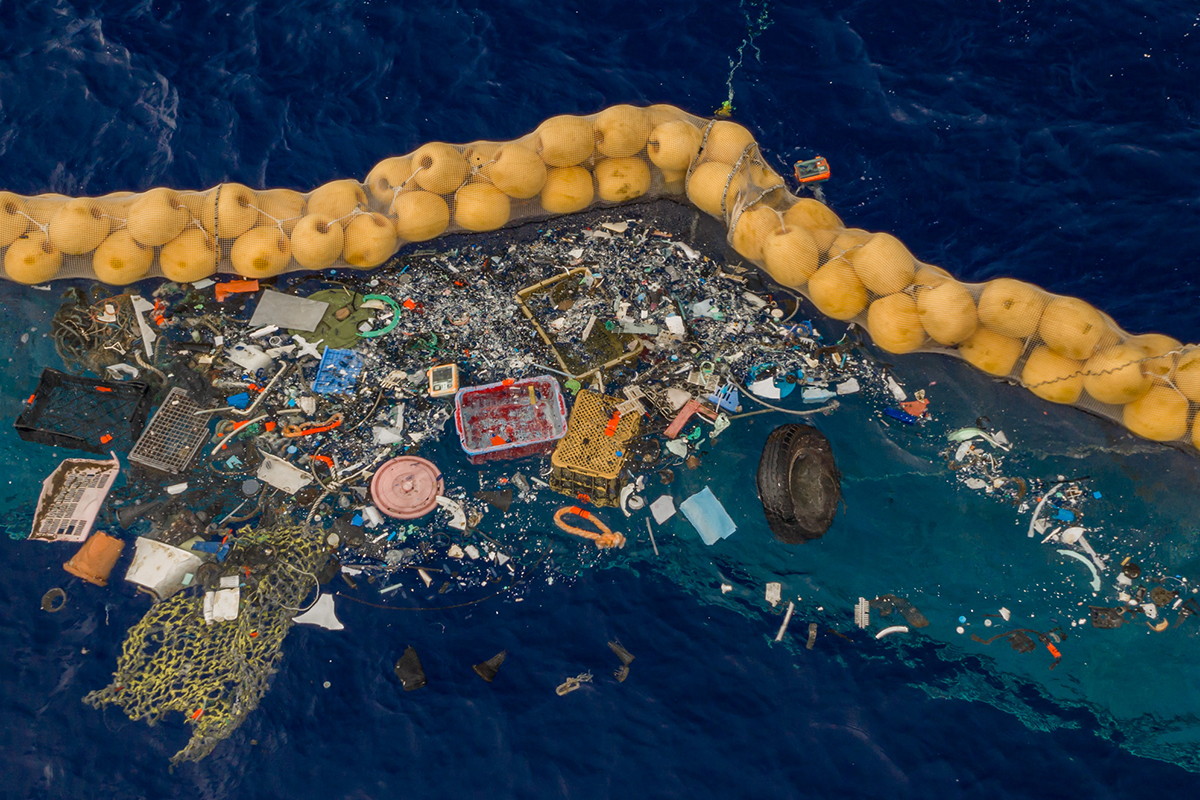 ГМО-бактерия сможет разлагать океанический мусор