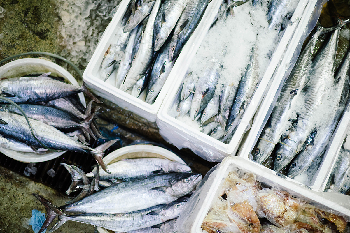 Кабмин ужесточит контроль за иностранными инвестициями в рыбодобыче