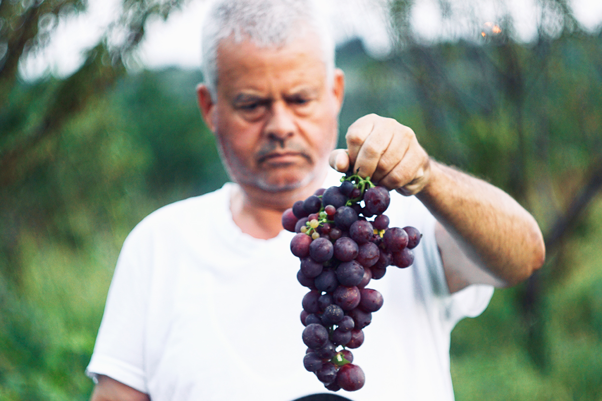 Виноград способствует улучшению зрения