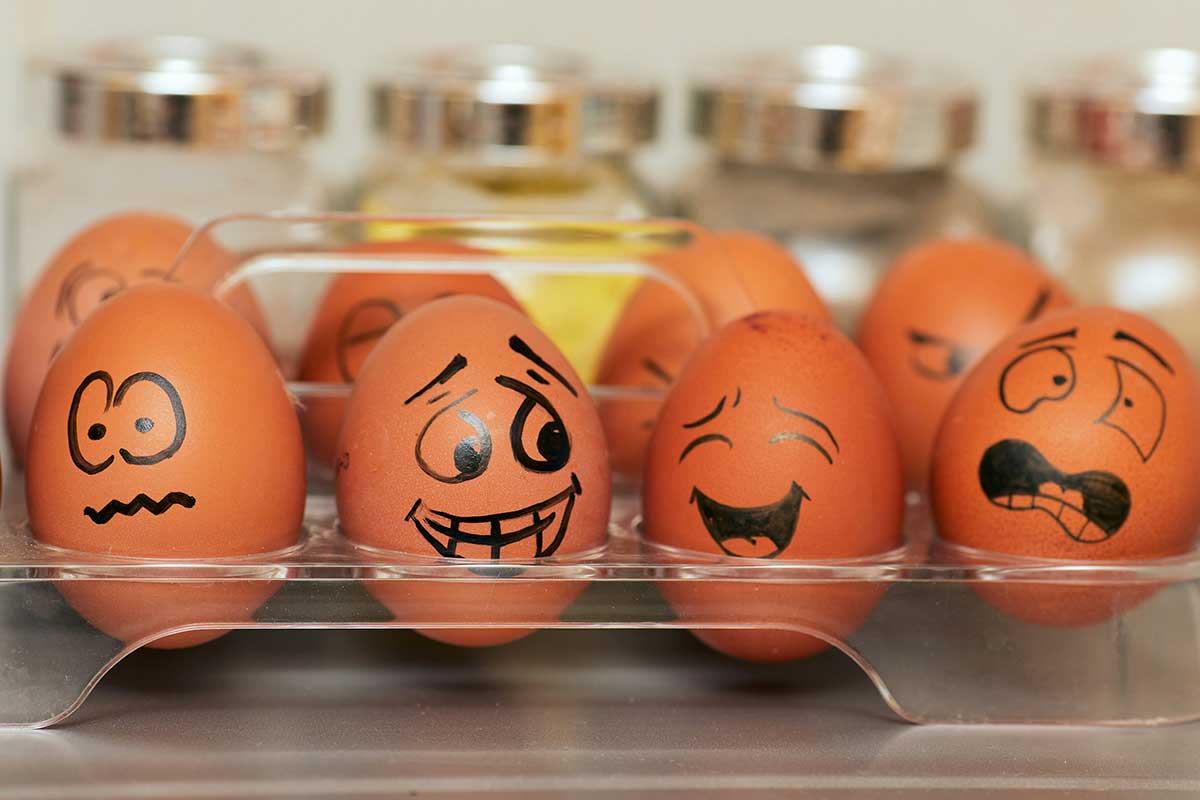 Минсельхоз планирует отменить пошлины на импорт яиц