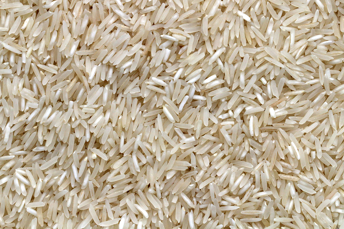Минсельхоз предлагает продлить запрет на экспорт риса