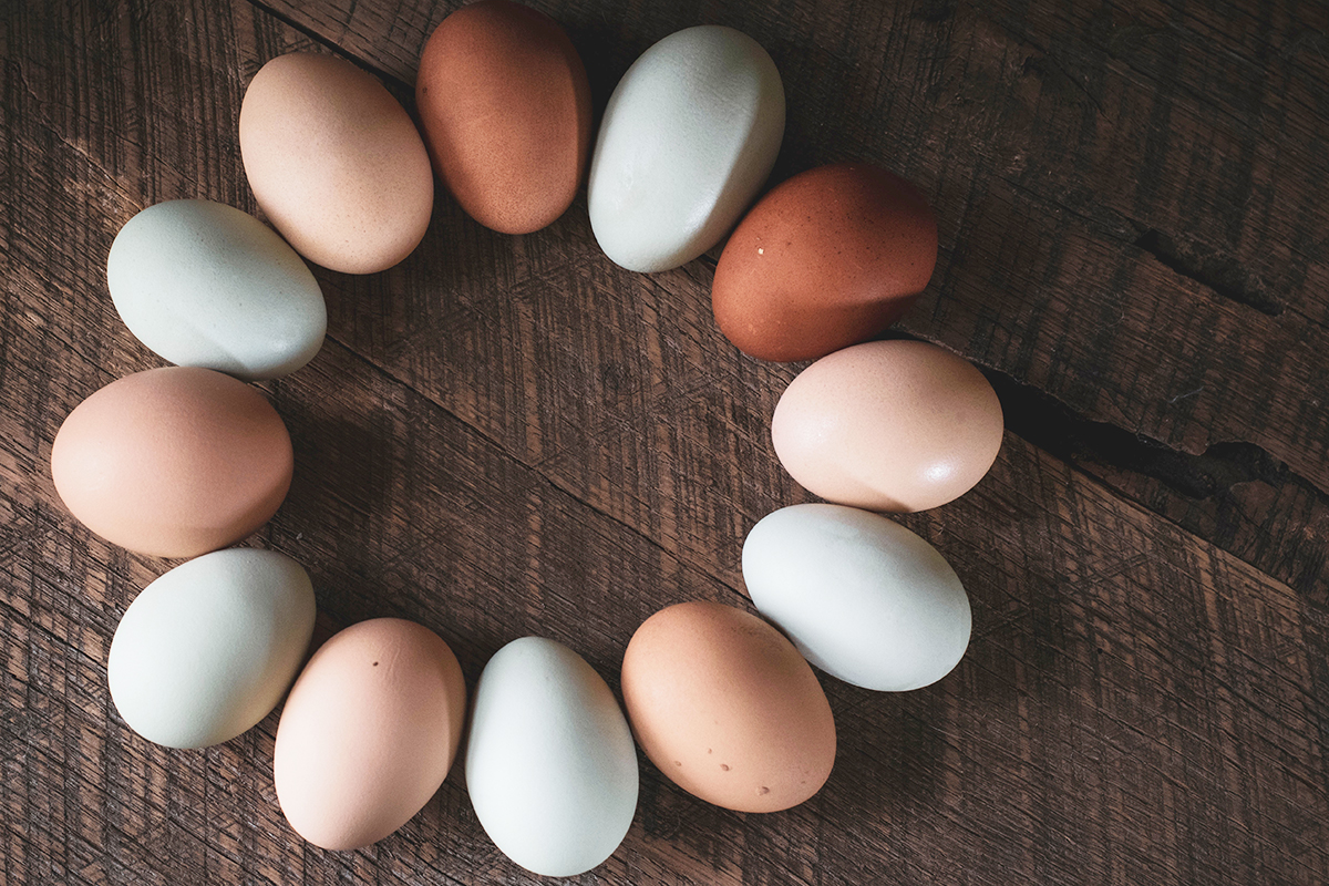 Генпрокуратура проведет проверку производителей яиц из-за роста цен