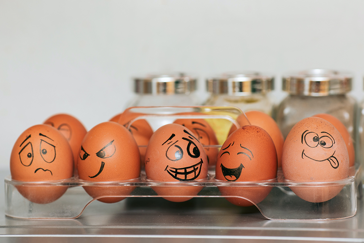 ФАС завела дело о необоснованном удорожании яиц в Костромской области