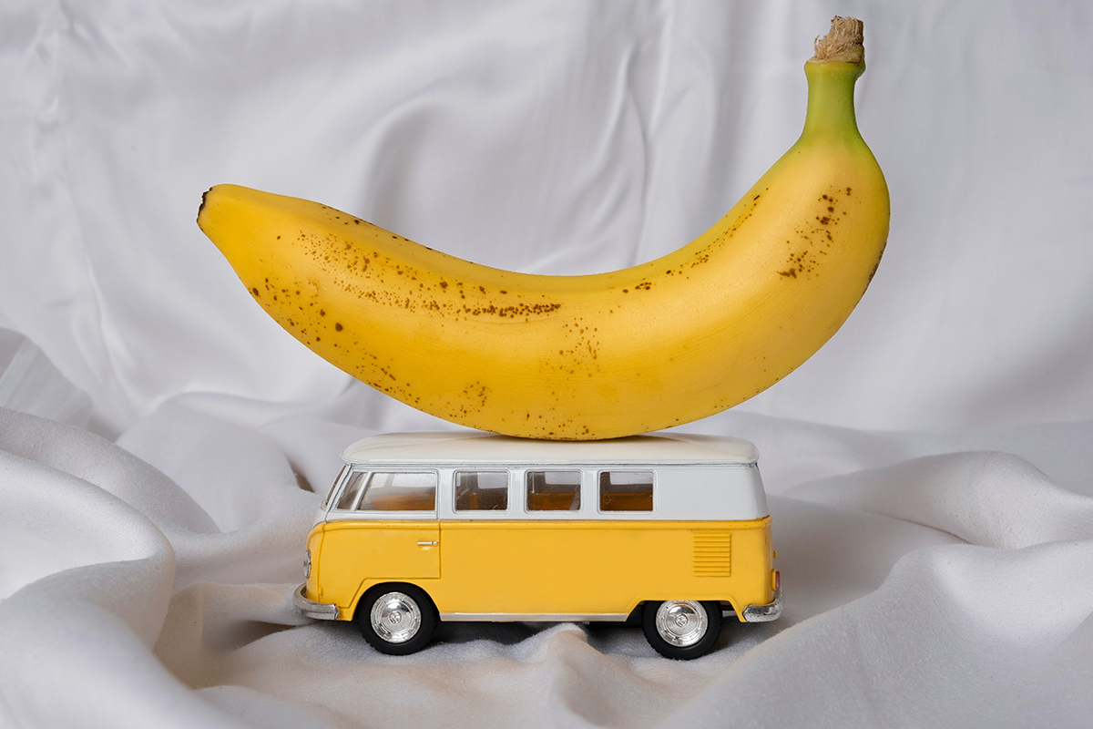 В России готовы возобновить поставки эквадорских бананов
