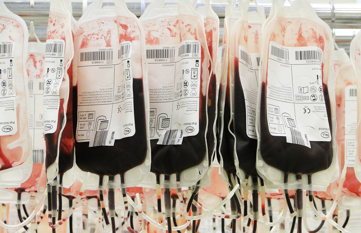 С начала года доноры в Подмосковье сдали более 5 тонн крови и ее компонентов