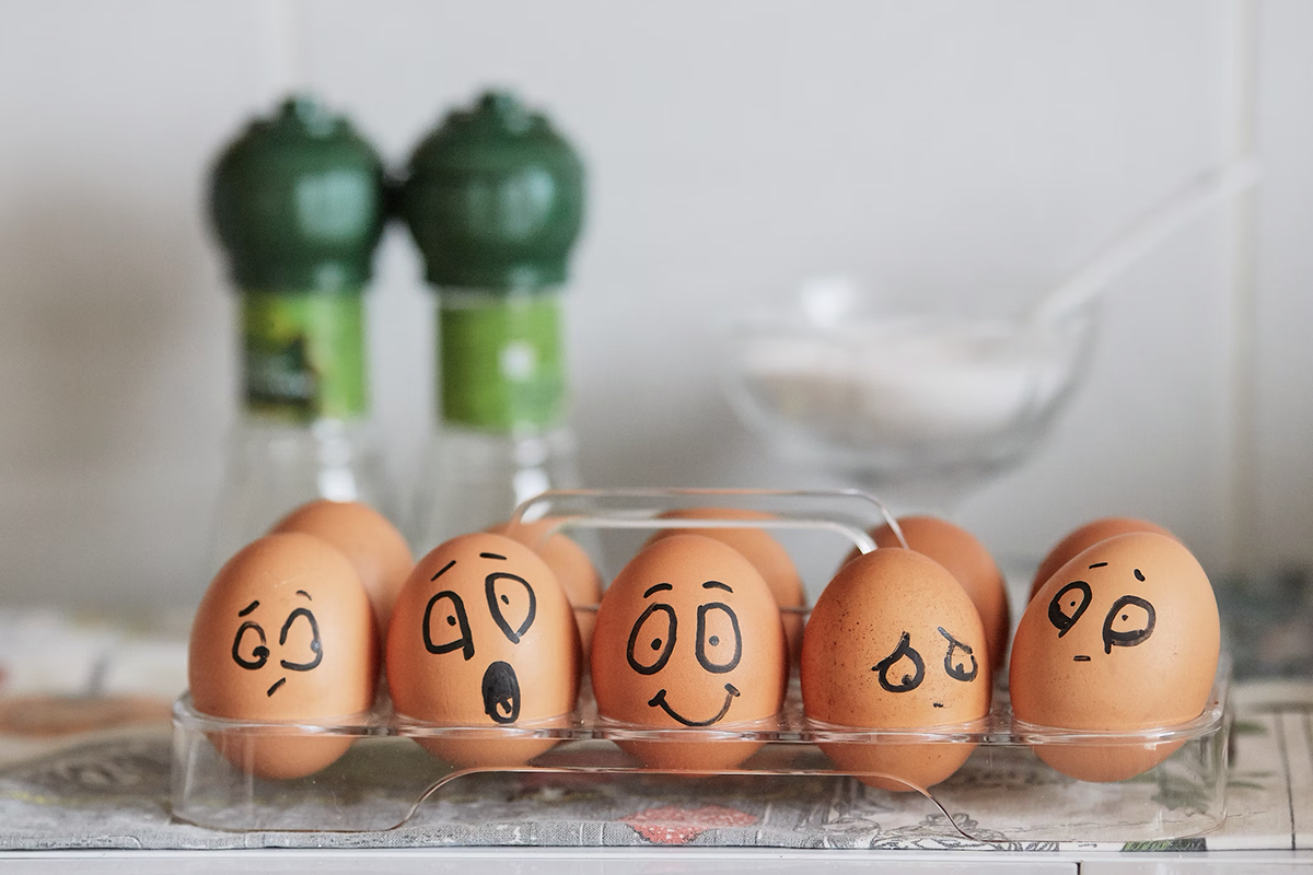 На Сахалине организуют поставки яиц из семи российских регионов