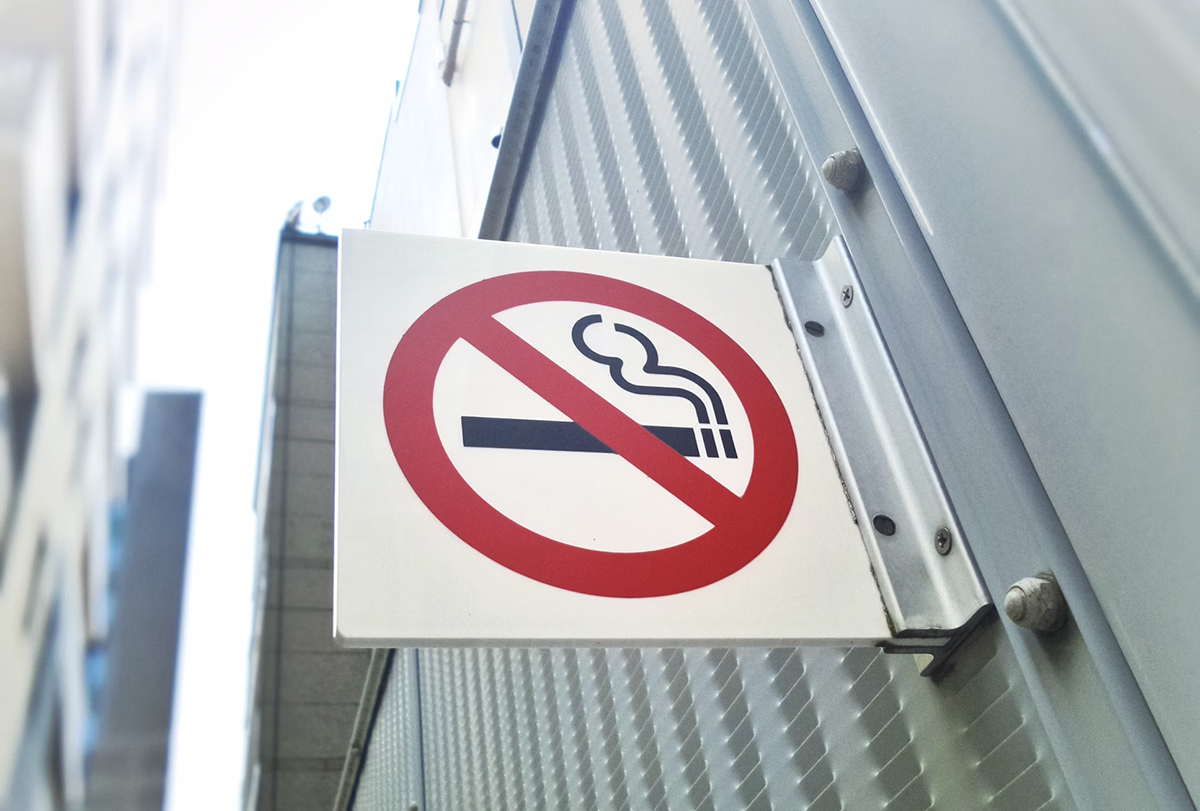 В РФ растет спрос на жевательный табак из-за спада выпуска папирос