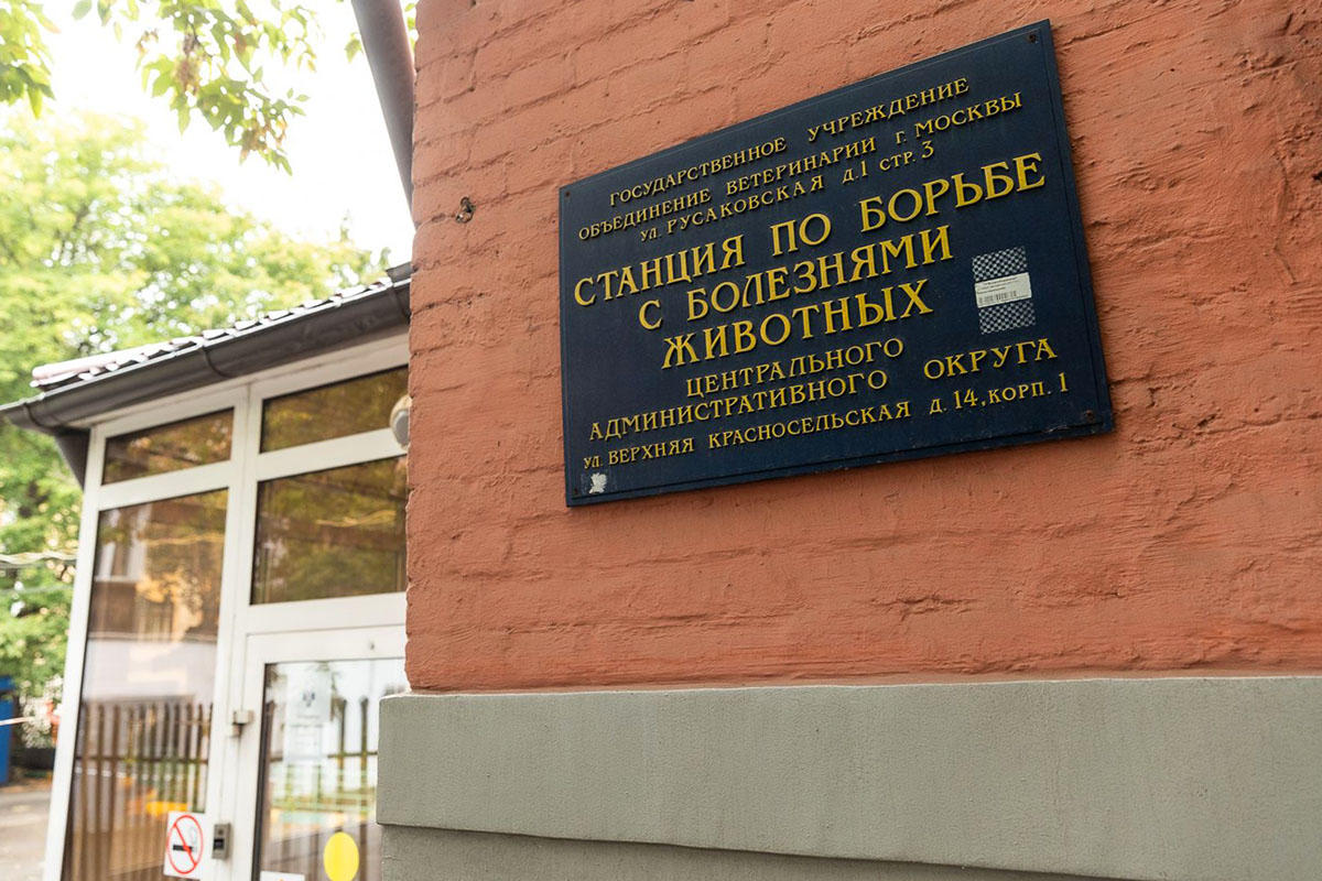 Около 300 тыс. звонков принял контакт-центр госветслужбы Москвы за два года