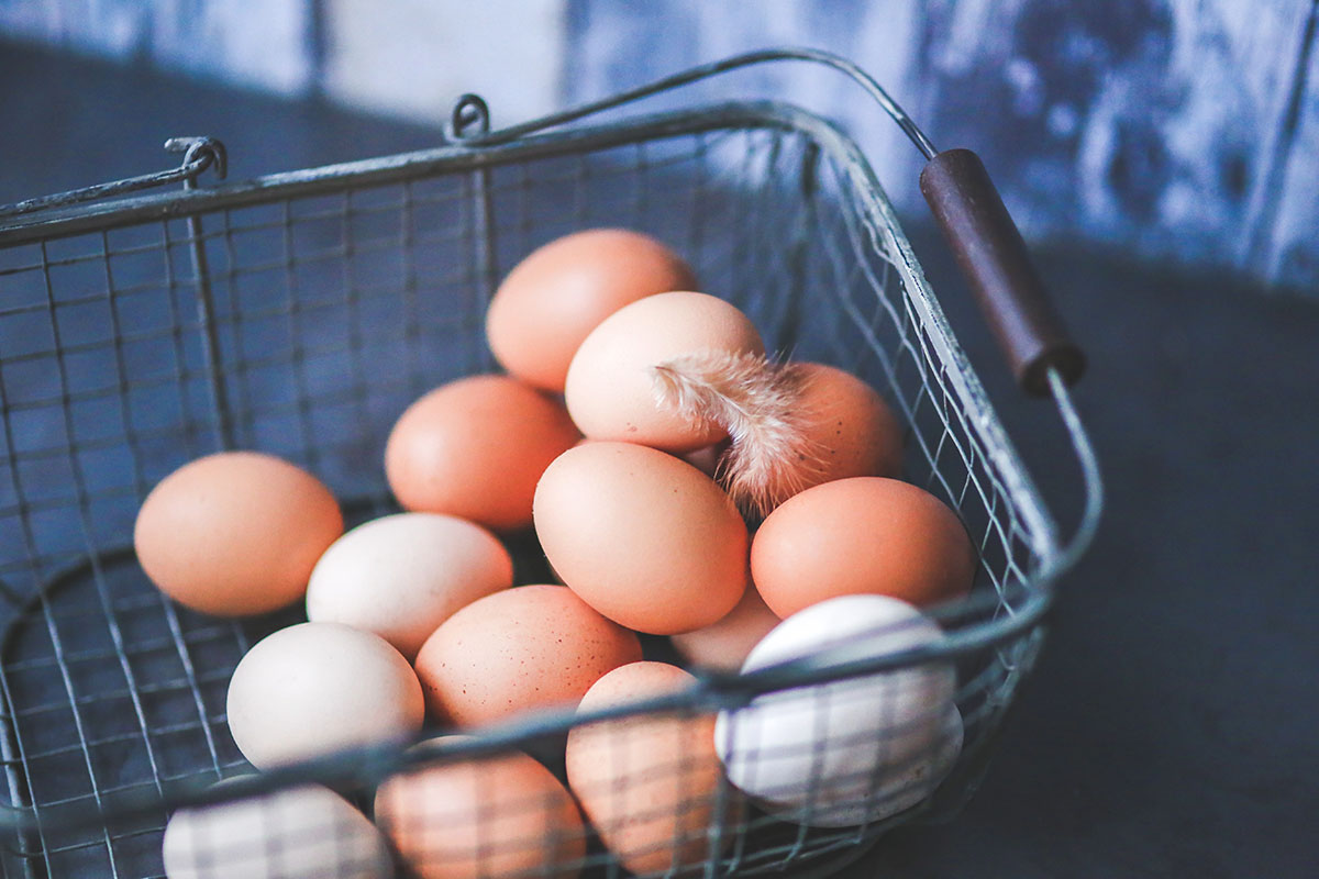 Белоруссия в 2,7 раза нарастила экспорт яиц в Россию