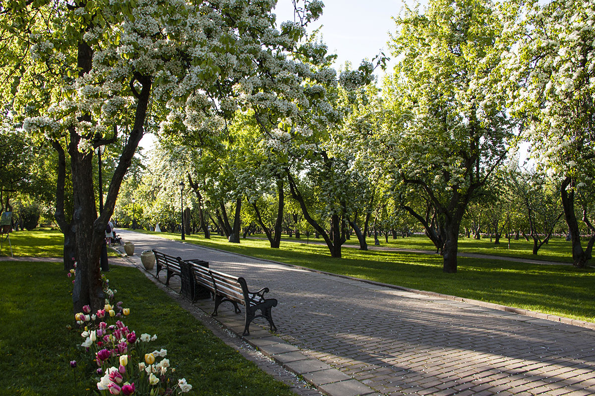 К концу апреля в Подмосковье приведут в порядок более 190 парков