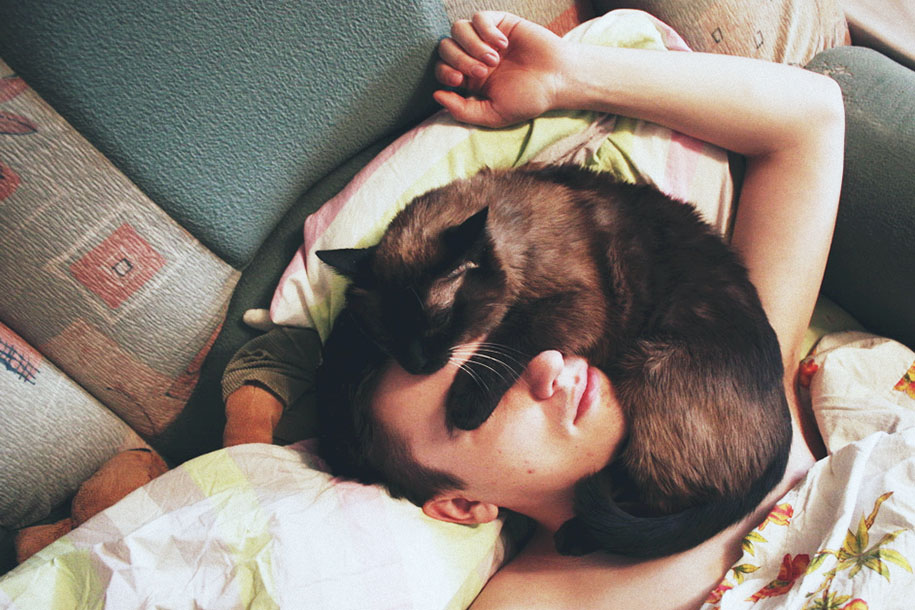 Собаки могут ухудшить качество сна своих хозяев, в отличие от кошек