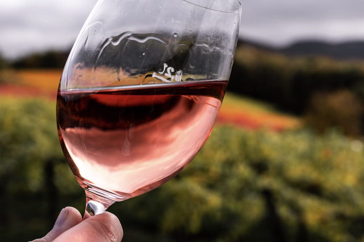 Кабмин рассмотрит предложение об увеличении пошлины на ввоз вина до 200 %