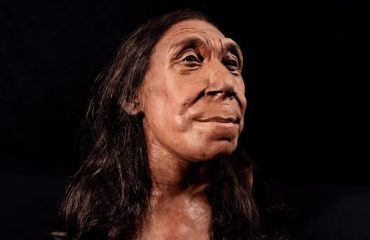 Ученые смоделировали внешность 40-летней женщины-неандертальца