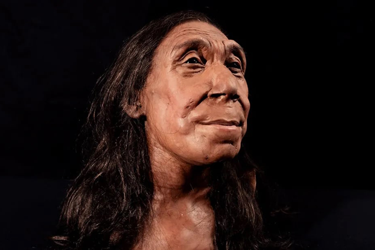 Ученые смоделировали внешность 40-летней женщины-неандертальца