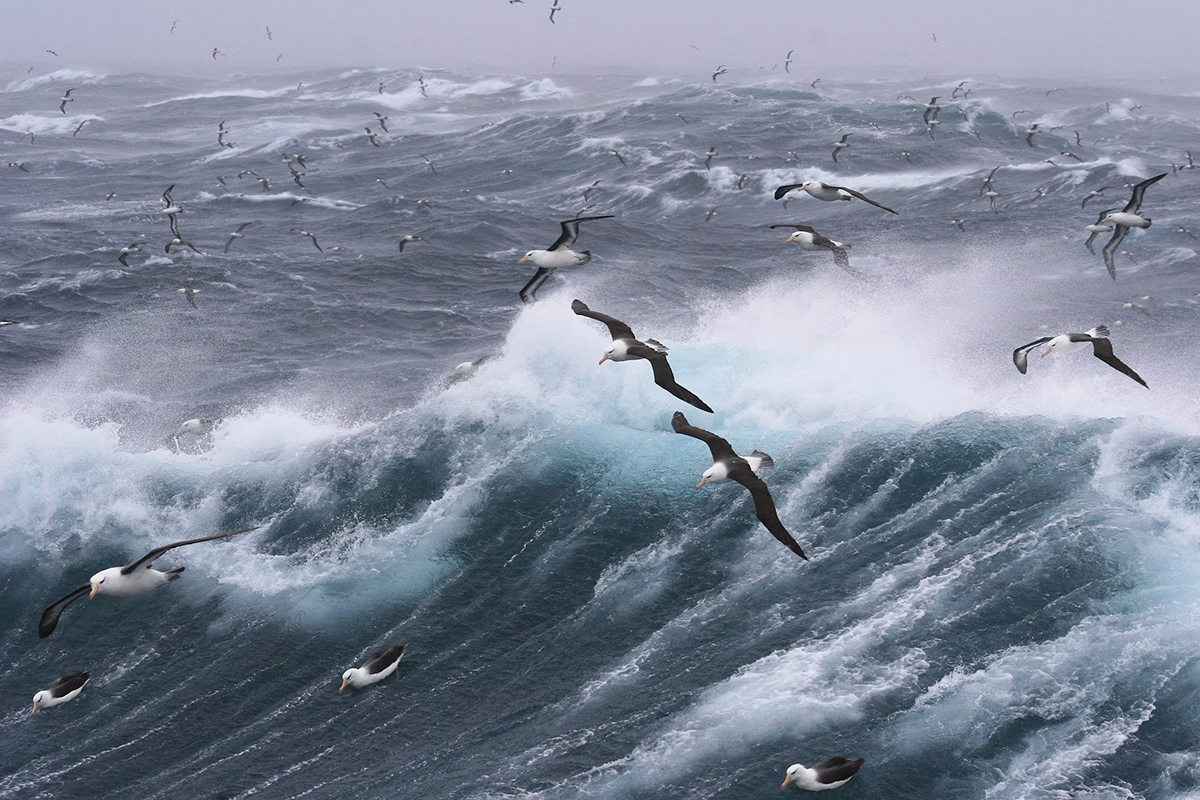 Самую мощную геомагнитную бурю XXI века зафиксировали на дне океана