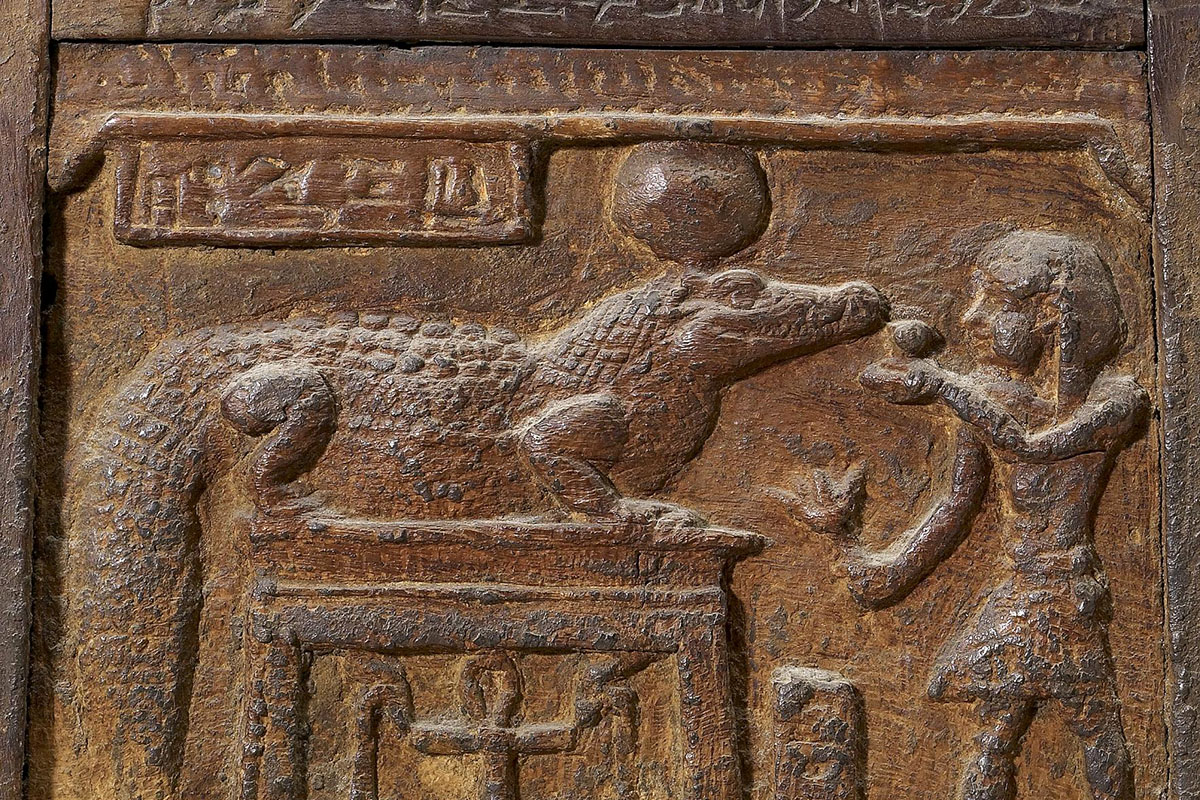 В египетской мумии крокодила нашли древний рыболовный крючок